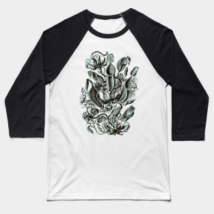 Ernst Haeckel Pitcher Plant  Teal Baseball T-Shirt